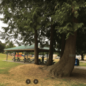 Walnut Grove Community Park