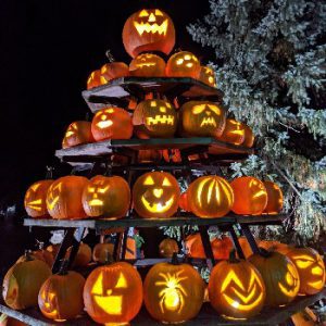 Waterford Pumpkinfest