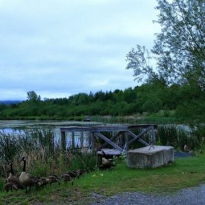 Parc de l’Etang Burbank
