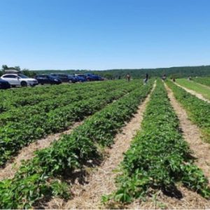 Plantations Stéphan Perreault