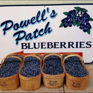 Powell’s Patch Blueberries