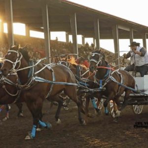 Dawson Creek Exhibition