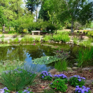 Trochu Arboretum and Gardens