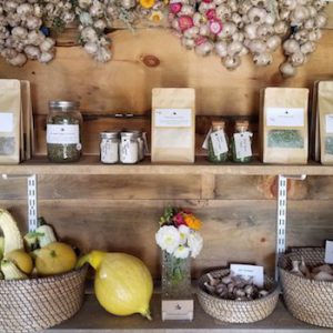 Bluebird Permaculture Farm