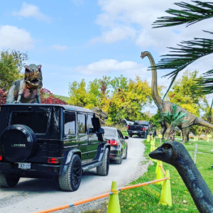 Canada’s Dinosaur Park