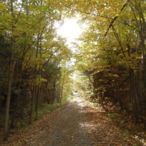 Cataraqui Trail