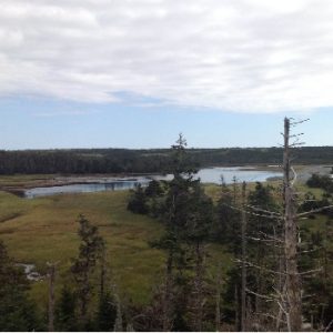 Chance Cove Provincial Park