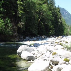 Chehalis River Campground