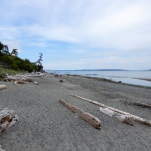 Cordova Bay Beach