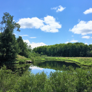 Depot Creek Nature Reserve