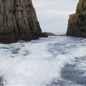 Ecotours Zodiac Adventures