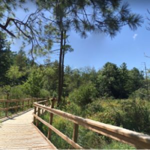 F.W.R Dickson Wilderness Area