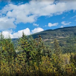 Finn Creek Provincial Park