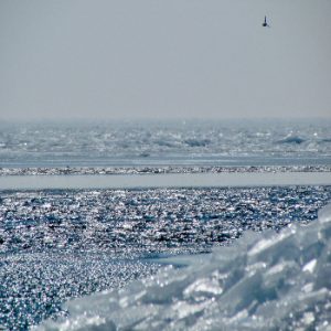 Fishing in Amherst Island Waters