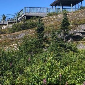 Harbour Round Lookout