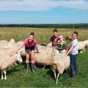 La Bergerie en Herbe Educational Farm
