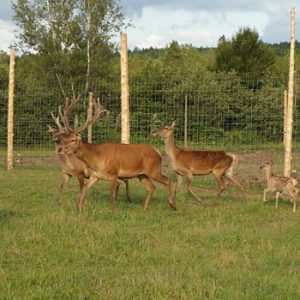La Ferme Renaissance