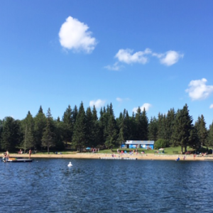 Memorial Lake Regional Park