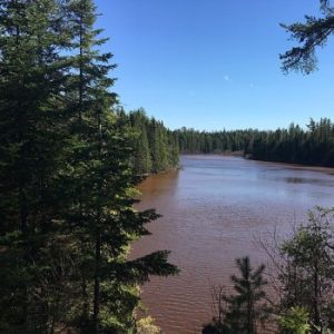 Mill Creek Nature Park