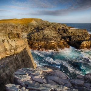 Mistaken Point Ecological Reserve