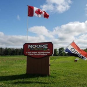 Moore’s Berries and Farm Fresh Produce