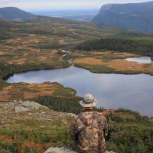 Mountain Waters Resort