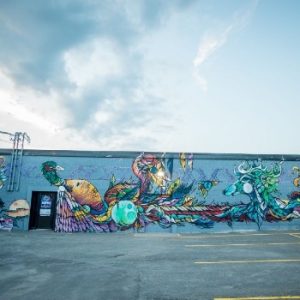 No More Fallen Feathers