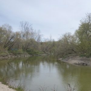 Nottawasaga Fishing Park
