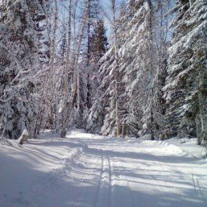 Onaping Falls Nordics Ski Club