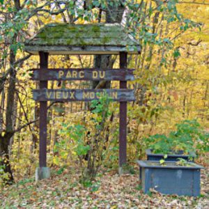 Parc du vieux moulin