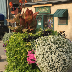 Patinas Gifts of Arts & Craft