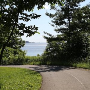 Petticoat Creek Conservation Park