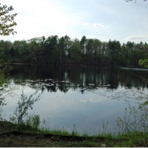 Pinehurst Lake Conservation Area