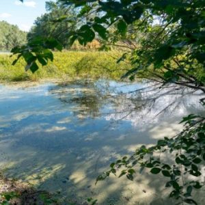 Sentiers pédestres des îles de Berthier