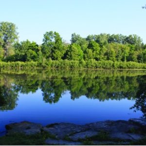 Strathroy Conservation Area