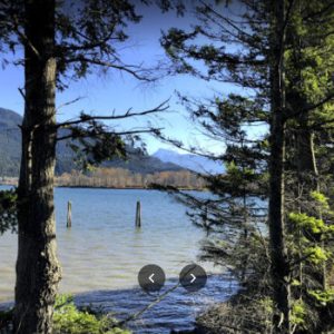 Swaggin Point Lookout