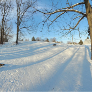 Taboggan Behind the Curling Arena