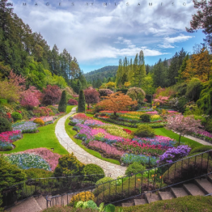 The Butchart Gardens