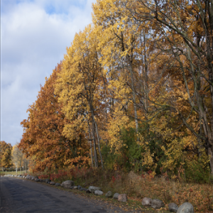 Greenwood Conservation Area