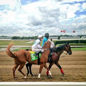 Ajax Downs Racetrack