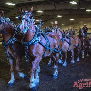 Abbotsford Agrifair