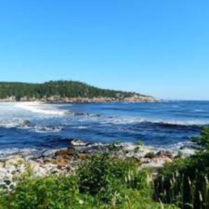 Black Brook Cove Beach