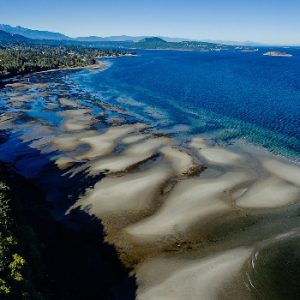 Blueback Beach Access