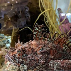 Bonne Bay Marine Station