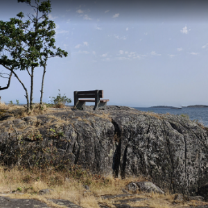 Brickyard Community Park