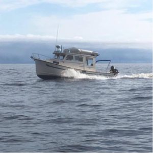 Cloud 9 Boat Charters and Tours