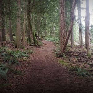 Copley Ridge Access Trail