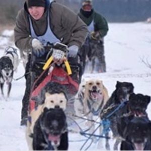 Dog Racing and Tours