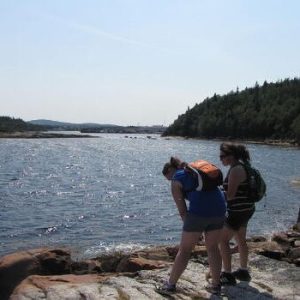 Gin Cove Walking Trail