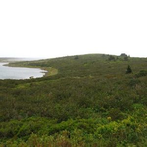 Grassy Island Fort National Historic Site